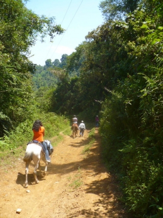 Guias e interpretacion